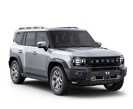 model_version